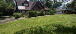 Vacant house in a great area with over grown bushes and high grass
